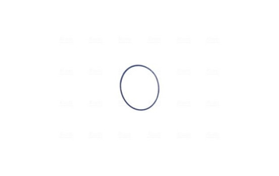 Cuerpo del acelerador, Imagen 6