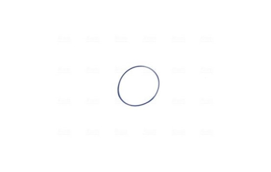Cuerpo del acelerador, Imagen 6