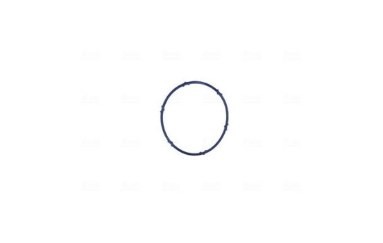 Cuerpo del acelerador, Imagen 5