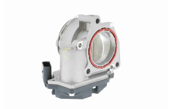 Cuerpo del acelerador, Imagen 6