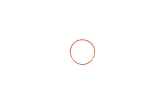 Cuerpo del acelerador, Imagen 5