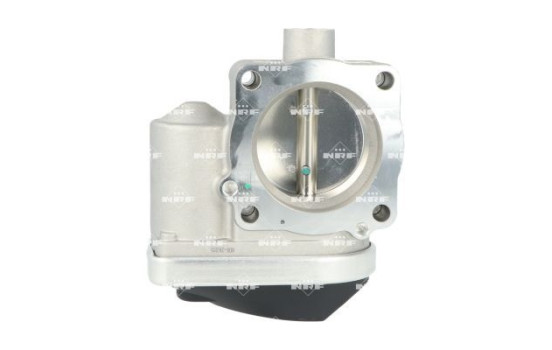 Cuerpo del acelerador, Imagen 3