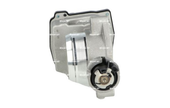 Cuerpo del acelerador, Imagen 3