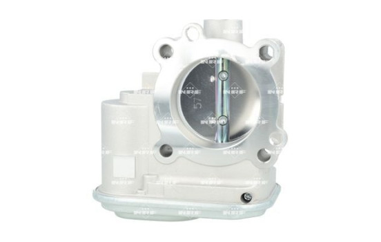 Cuerpo del acelerador, Imagen 2