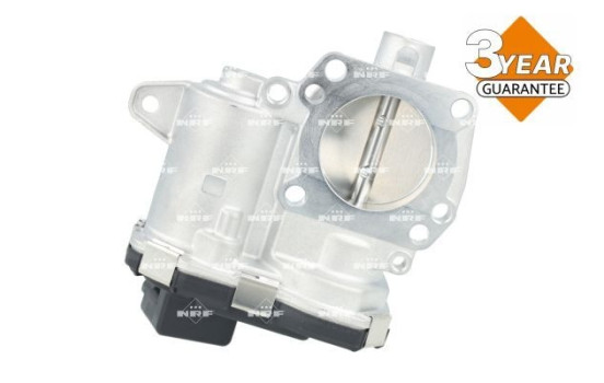 Cuerpo del acelerador, Imagen 2