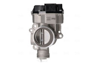 Cuerpo del acelerador