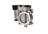 Cuerpo del acelerador