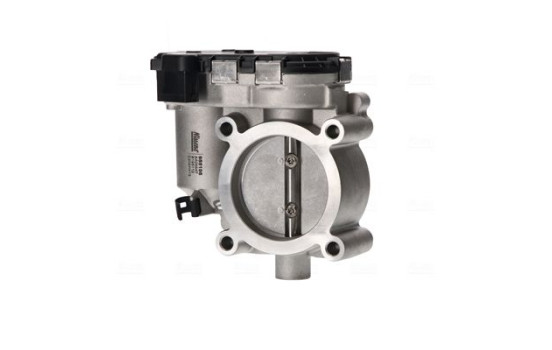 Cuerpo del acelerador