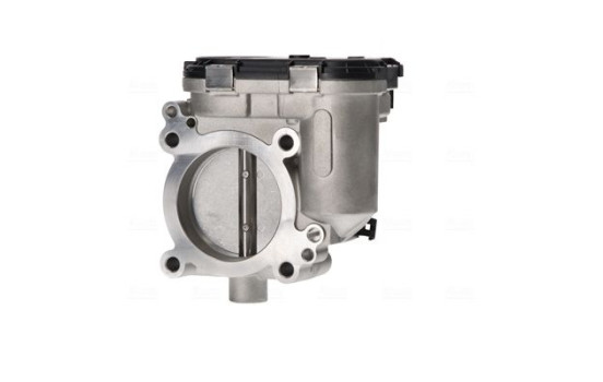 Cuerpo del acelerador, Imagen 2