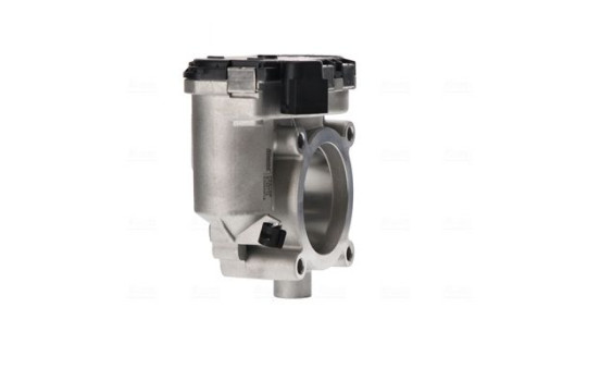 Cuerpo del acelerador, Imagen 3