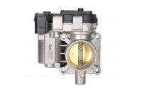 Cuerpo del acelerador