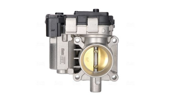 Cuerpo del acelerador