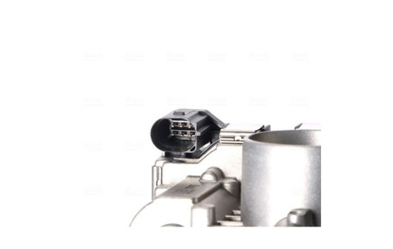 Cuerpo del acelerador, Imagen 5