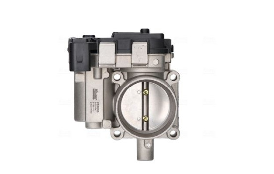 Cuerpo del acelerador