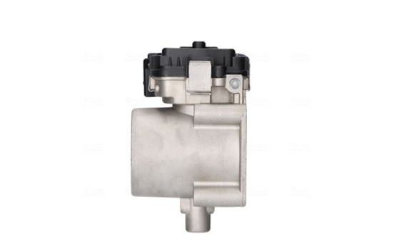 Cuerpo del acelerador, Imagen 2