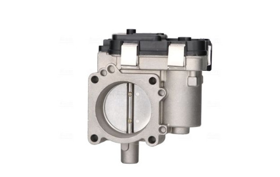 Cuerpo del acelerador, Imagen 3