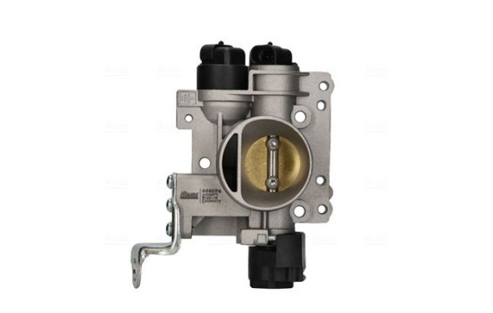 Cuerpo del acelerador