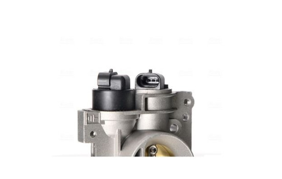 Cuerpo del acelerador, Imagen 5