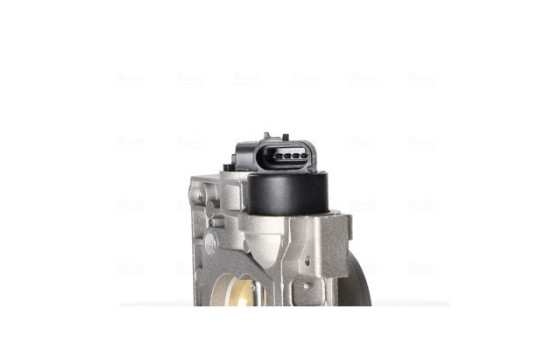 Cuerpo del acelerador, Imagen 6