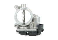 Cuerpo del acelerador