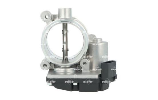 Cuerpo del acelerador