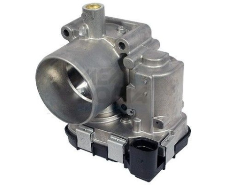 Cuerpo del acelerador