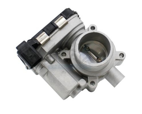 Cuerpo del acelerador