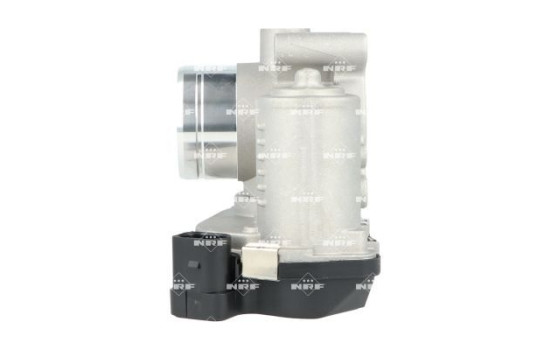 Cuerpo del acelerador, Imagen 2