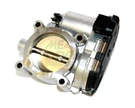 Cuerpo del acelerador