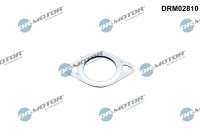 Anillo de sellado, tubo de la válvula EGR