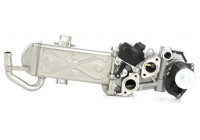 Módulo EGR 710861D Wahler
