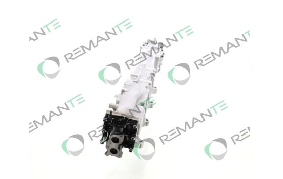 Módulo EGR REMAN 51081007248, Imagen 2