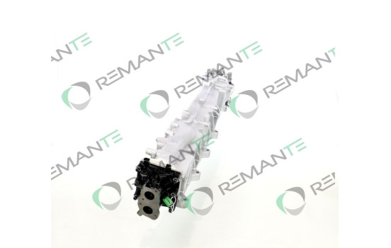Módulo EGR REMAN 51081007253, Imagen 2