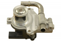 Sello, válvula EGR EEG-6506 Kavo parts