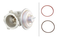 válvula EGR 6NU 010 171-701 Hella