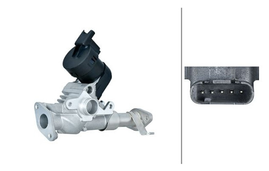 válvula EGR 6NU 014 864-981 Hella