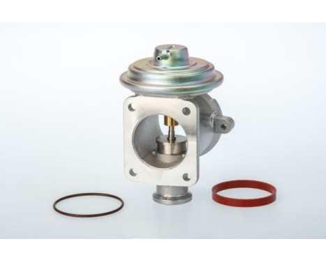 válvula EGR 710924D Wahler