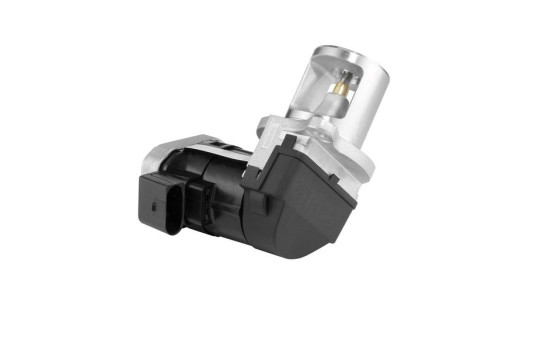 válvula EGR 7527D Wahler