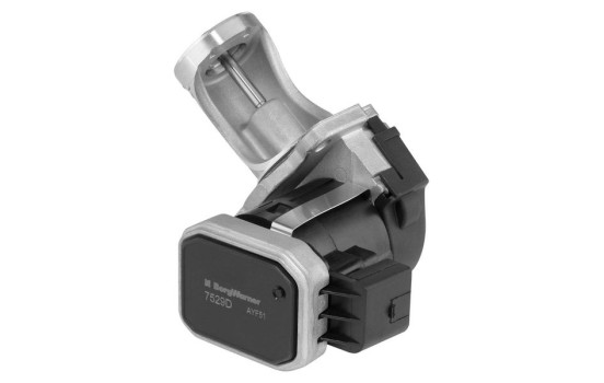 válvula EGR 7529D Wahler, Imagen 3