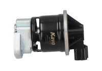 válvula EGR EEG-2007 Kavo parts