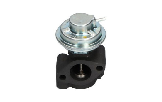 válvula EGR EEG-3005 Kavo parts, Imagen 2