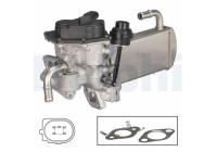 válvula EGR EG10576-12B1 Delphi