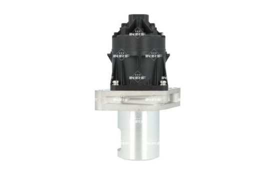válvula EGR, Imagen 3