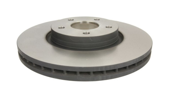 Disco de freno delantero DF6019S TRW