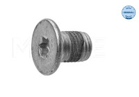 Tornillo, disco de freno