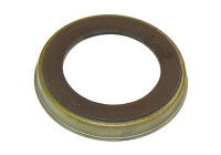 Anillo sensor, ABS