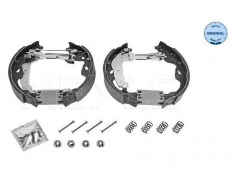 Juego de zapatas de freno