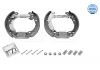 Juego de zapatas de freno