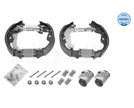 Juego de zapatas de freno