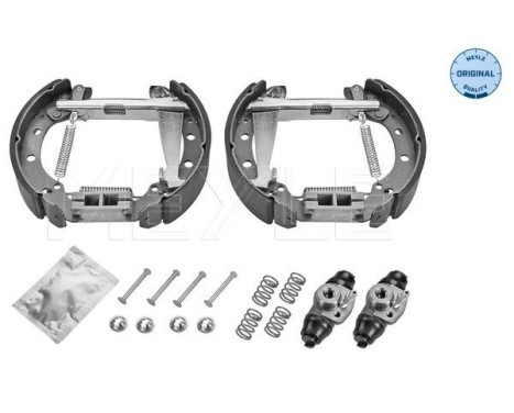 Juego de zapatas de freno